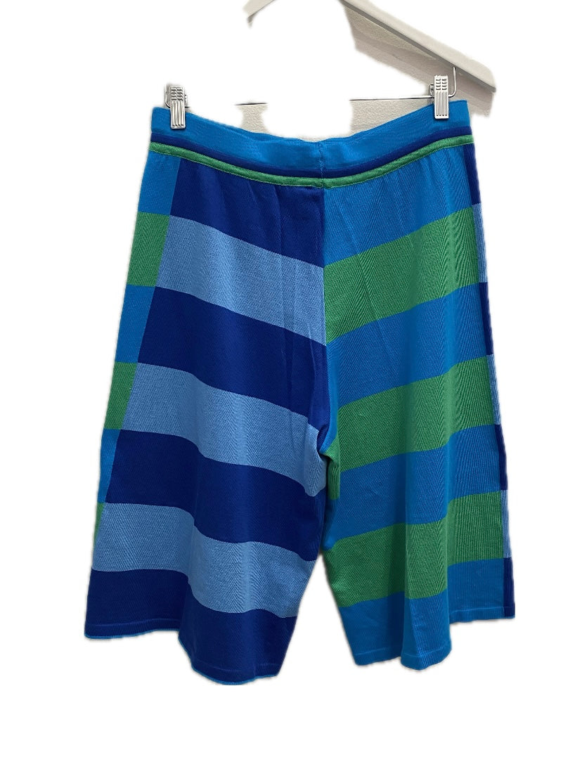 Knit Shorts Long Stripe Turquoise