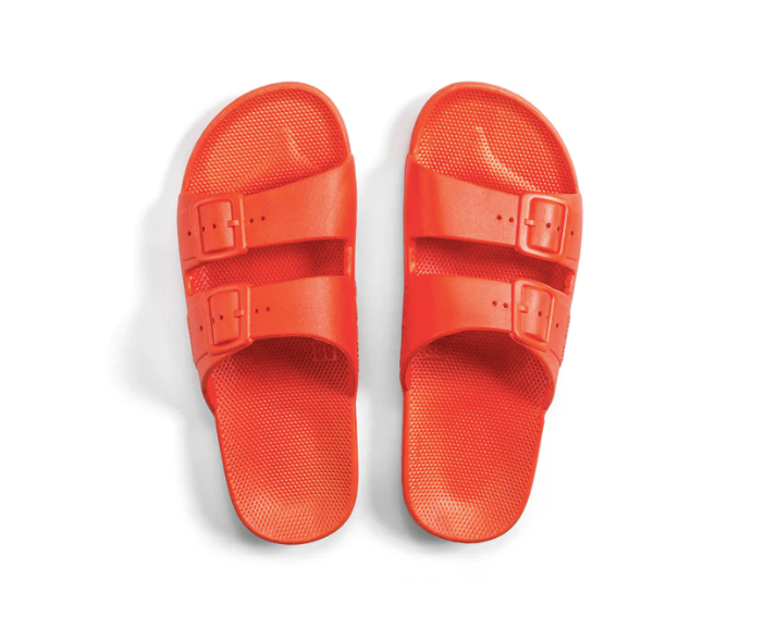 Freedom Moses Slides